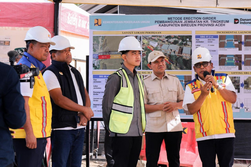 Wagub Aceh dan Wapres Turun Langsung ke Lokasi Banjir di Bireuen, Tinjau Jembatan Rusak